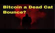 Is Bitcoin a Dead Cat Bounce? $NEO, $ONT, $NCASH!