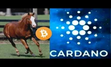 Cardano Bullrun XRP Bitcoin Future of Blockchain ADA Growing In Year 2020