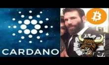 CARDANO BULLRUN IN YEAR 2020 COULD MAKE ADA CRYPTOCURRENCY ON THE BITCOIN LEVEL