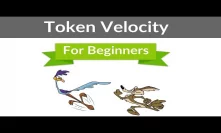 What Is Token Velocity? A Beginner's Explanation