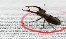 25% of All Smart Contracts Contain Critical Bugs