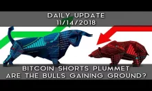 Daily Update (11/14/18) | Bitcoin Shorts Plummet: Are The Bulls Gaining Ground?