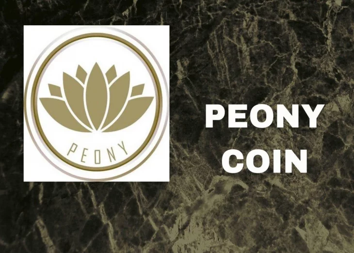 Peony Coin: A Cryptocurrency Aimed At Getting More Efficiency to the ECom Industry