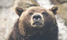 XRP and Tron [TRX] feel the brunt of the bear; development try to counteract effects