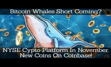 Crypto News | Bitcoin Whales Short Coming? NYSE Cypto Platform In November. New Coins On Coinbase!