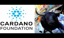 Cardano Bullrun ADA Will Mint More Crypto Millionaires Than Most Digital Assets