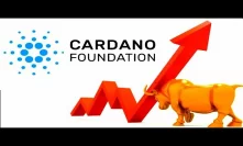 Update Cardano Bullish ADA Signs Q1 Cryptocurrency Calm Before Storm