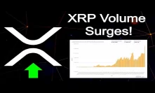 XRP Volume Hits New All Time High - Ripple XRP Ledger Upgrade - Mark Yusko XRP