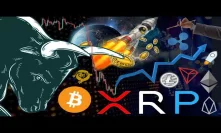 Ripple Too BIG to FAIL?!? Could XRP Kickstart the Next Bull Run?!? Is $XRP a Security?