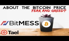 KEY INDICATORS for BTC PRICE | BITMEX Email LEAK | Tael Wabi Updates | Bitcoin News