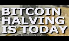 Bitcoin Halving Is Today, Next Price Movement, ETH Vs BTC & TRON Stimulus