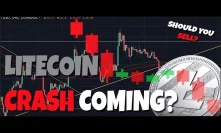 IS LITECOIN ABOUT TO CRASH? Wall Street Is Calling A Bottom In Bitcoin!