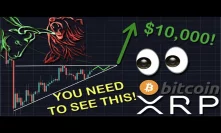 OMG! XRP/RIPPLE & BITCOIN ARE FINALLY IN A BULL MARKET! IT IS CONFIRMED | READY FOR BLAST OFF!