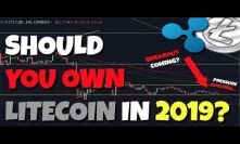 IMPORTANT: Should You Own Litecoin In 2019? My 2019 Portfolio - Bitcoin Futures In November?