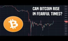 Bitcoin Jumps 20% In 3 Days | Will Bitcoin Continue Growing In A Climate Of Fear?