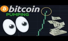 BITCOIN PUMPING AS AMERICANS COULD GET $2,000 FREE A MONTH IN STIMULUS!!