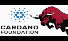 In April Cardano Bullrun Is Possible ADA Making Gains Before #Cardano Shelly