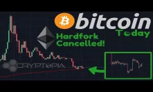 Bitcoin Bottomed Out? | Ethereum Hard Fork HALTED! | Cryptopia HACKED!!!