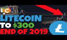 Litecoin To $300, End Of 2019. IT MAY BE POSSIBLE! Halving - When Is Pullback?
