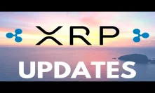 XRP Updates! Everything You Need to Know About XRP and Ripple