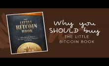 Why you should buy The Little Bitcoin Book
