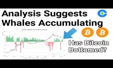 Has Bitcoin Bottomed? Analysis Suggests Whales Accumulating