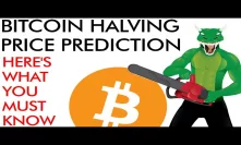 Bitcoin Halving Price Prediction - What You MUST Know