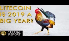 Litecoin - Will 2019 Be A Huge Year For Price & Adoption?