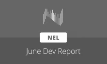 NEL documents NNSDEX and NELSwap development progress in June reports
