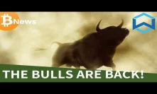 The Bitcoin BULLS are BACK! Wanchain Introduction - Today's Crypto News