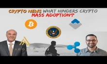 What Hinders Crypto Mass Adoption? Why WAVES Is up More than 165% - Cryptocurrency News