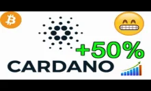 Potential For King Cardano ADA +50% Price Surge By March 2019
