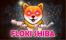 Meme token Floki Shiba ranks high on BSC DApp