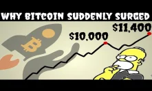 The REAL Reason Why Bitcoin's Price Spiked (Recently)