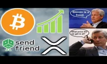 BITCOIN RECOVERY - BILLIONAIRE INVESTS IN CRYPTO - JAMIE DIMON SEES BITCOIN LIGHT? - SENDFRIEND XRP