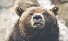 Bitcoin [BTC/USD] Technical Analysis: Bears infest the world’s largest cryptocurrency again