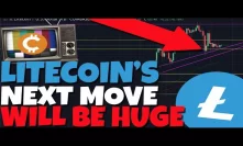 Litecoin Next Big Move Will Be HUGE! The Halving May Explain It!