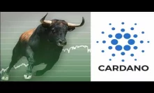 Cardano Bullrun Expected ADA Crypto King Of Year 2019 Prediction