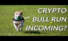 Is Crypto Ready For A Bull Run??