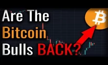 Are The Bitcoin Bears Finally Defeated? Are The Bulls Back?