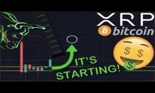 XRP/RIPPLE & BITCOIN BULLS ARE BACK! | MARKETS RECOVER | IM ABOUT TO BUY IN!