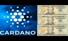 $20 Cardano ADA Moon By 2022 Bitcoin Halving Google Trends Interest Spike!