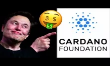 Cardano Millionaires Will Be Unique ADA #Cardano Wealth Growth Starts With Shelly