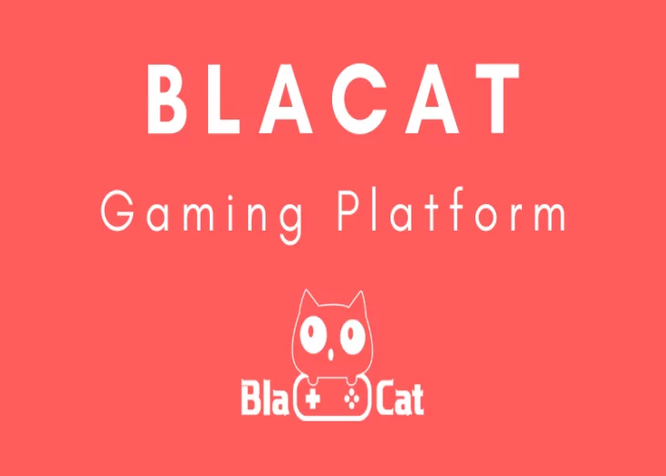 Introduction to the BlaCat gaming platform