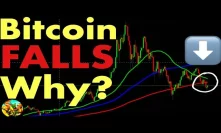 Bitcoin Falls - Why? When Will Bitcoin Go Back Up?
