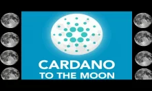 Cardano Moon Ready As Crypto Market is Distracted By Bitcoin Price Drop