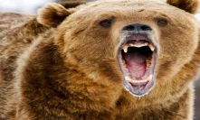BTC Hashpower Doubles During Bear Market as Miners Sacrifice Profit for Position