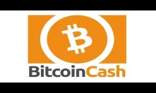 What Is Bitcoin Cash? The Basics - For Beginners