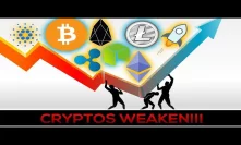 Cryptos Weaken: BOUNCE Levels + BE PREPARED TO PROFIT SOON!!!