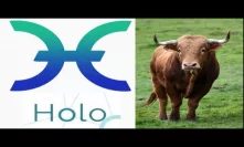 HoloChain(Hot) BULLRUN! BUT Is is a Good investment? Holo (HOT) Could Be BIG